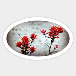 paintbrush wildflowers, Johnston's Ridge 3, oval Sticker